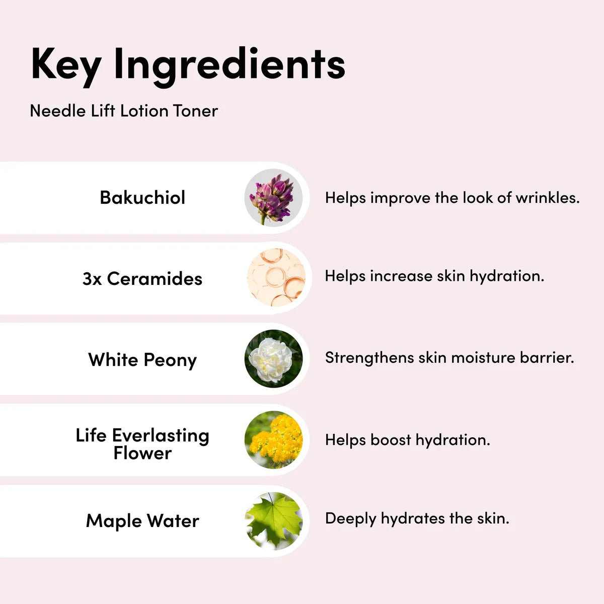 Japanese EMS Technology Beauty Tools & Skincare